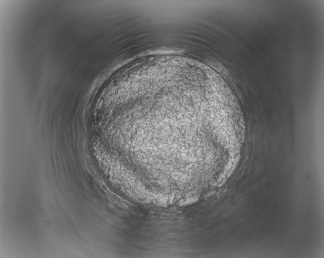 X0000080730337200701021126