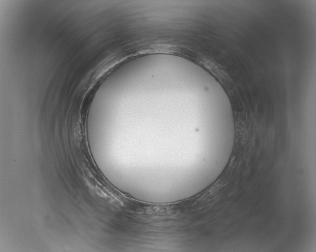 X0000080730338200701021126