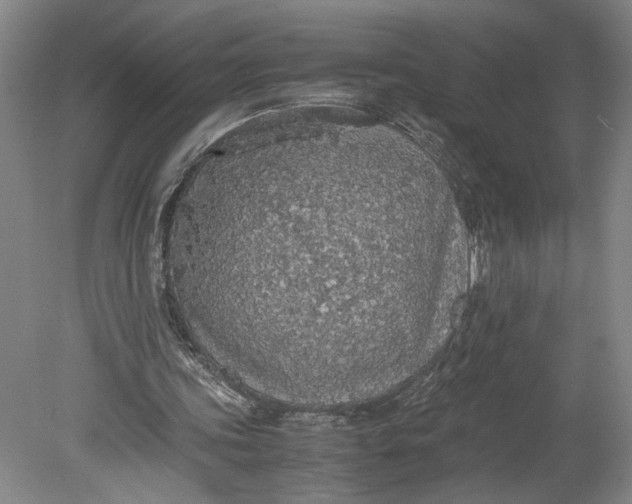 X0000080730339200701021126