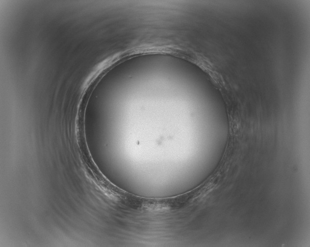 X0000080730340200701021126