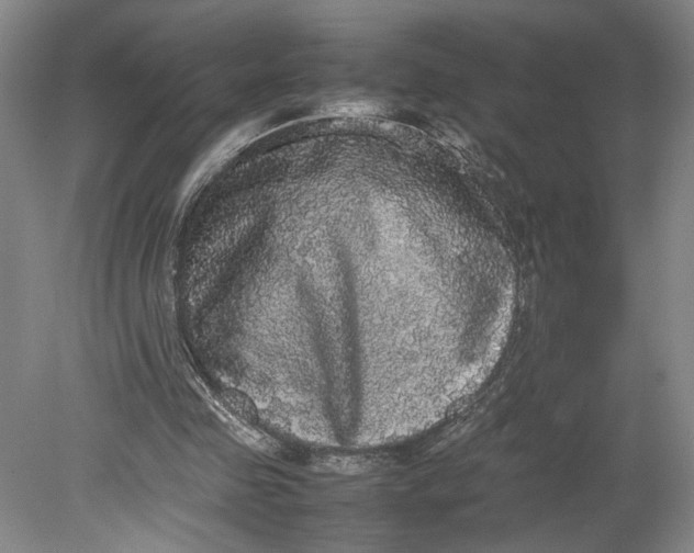 X0000080730341200701021126