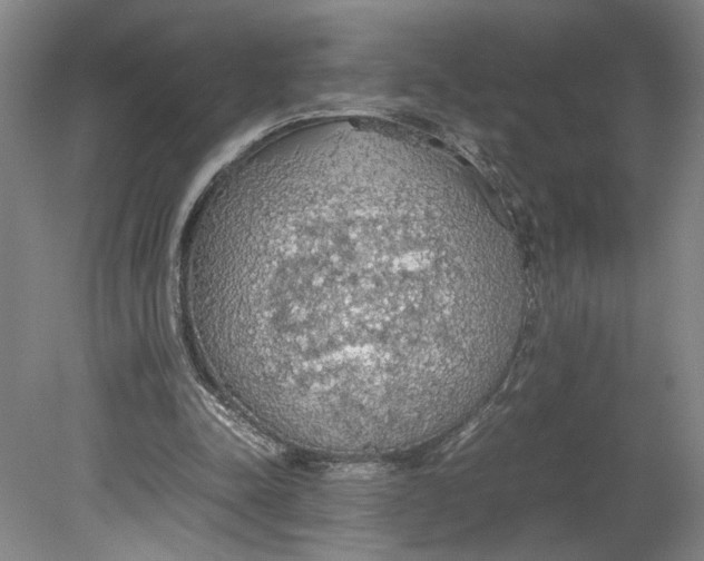 X0000080730342200701021126