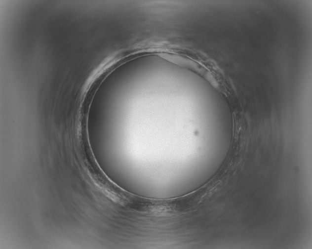 X0000080730344200701021126