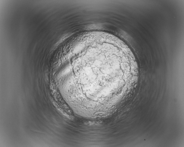 X0000080730345200701021126