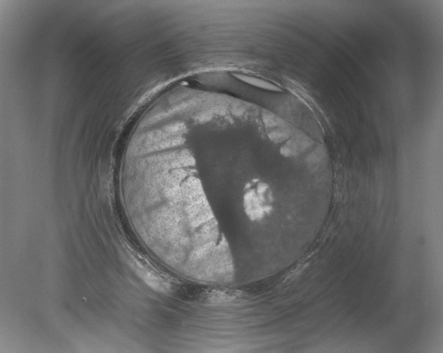 X0000080730346200701021126