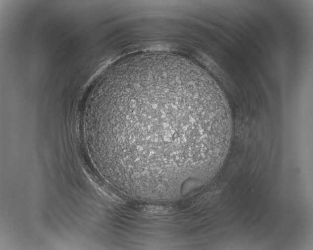 X0000080730347200701021126