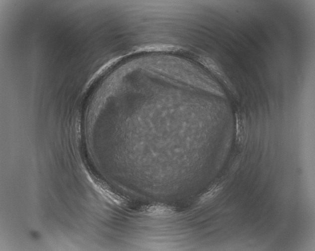 X0000080730348200701021126