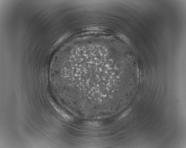 X0000080730349200701021126