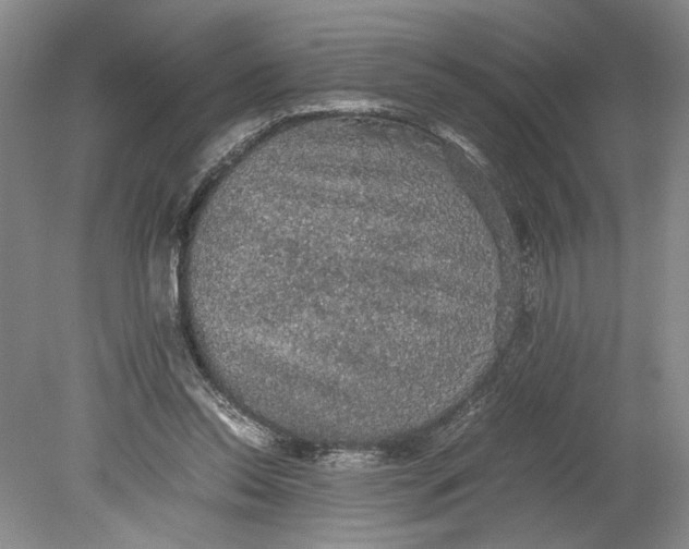 X0000080730350200701021126