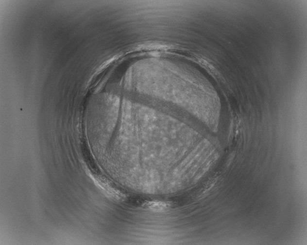 X0000080730352200701021126