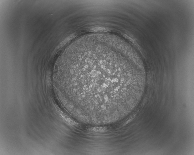 X0000080730353200701021126