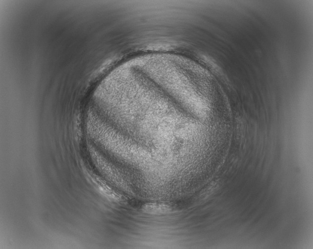 X0000080730354200701021127