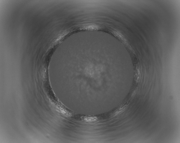 X0000080730355200701021127