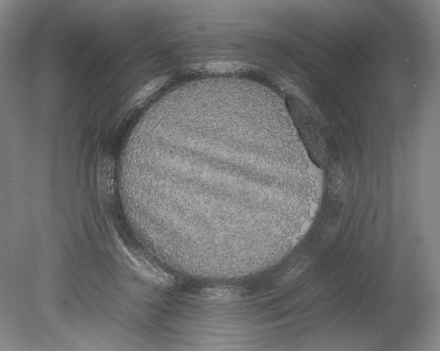 X0000080730356200701021127