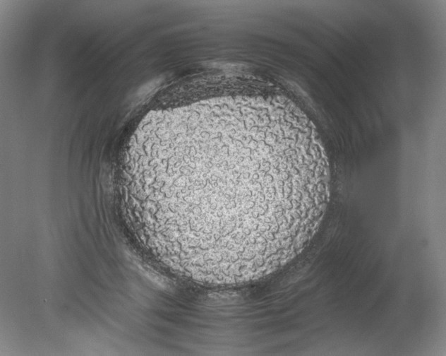 X0000080730357200701021127