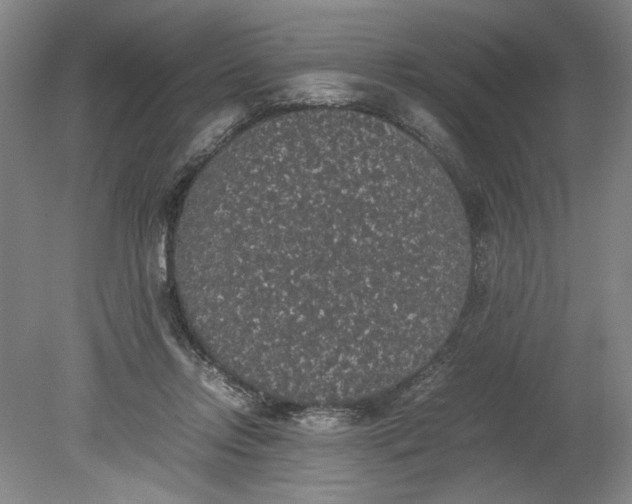 X0000080730358200701021127