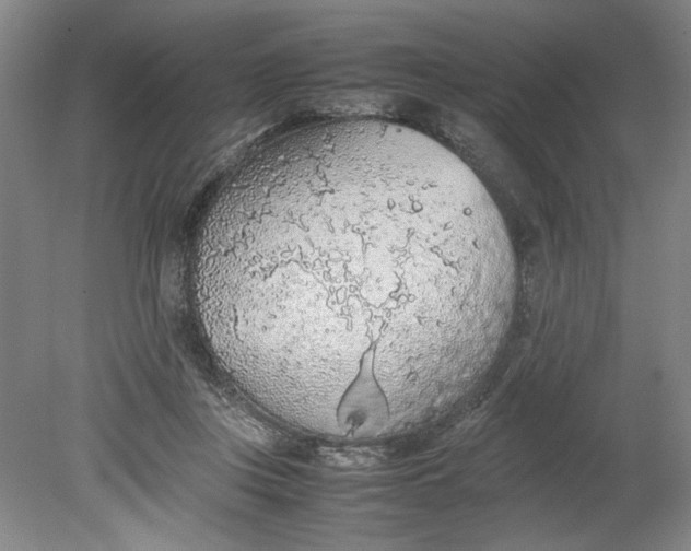 X0000080730359200701021127