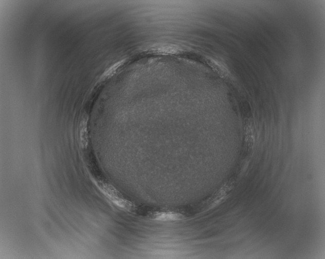 X0000080730360200701021127