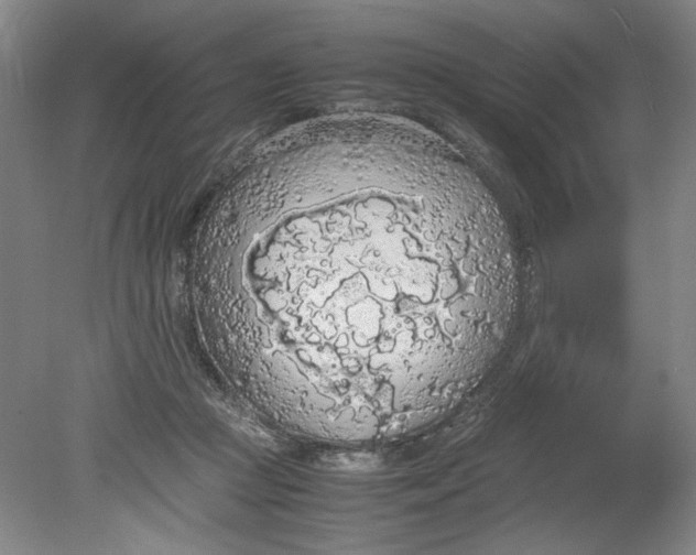 X0000080730361200701021127