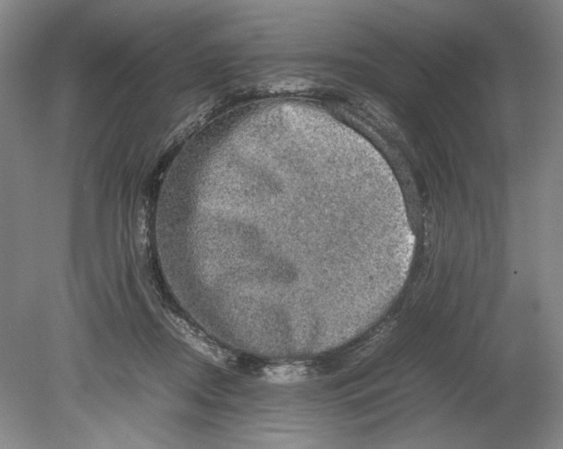 X0000080730362200701021127