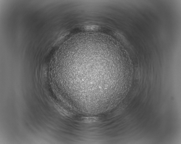 X0000080730363200701021127