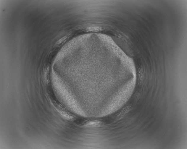 X0000080730364200701021127