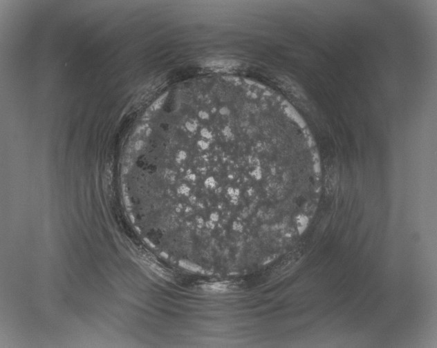 X0000080730365200701021127