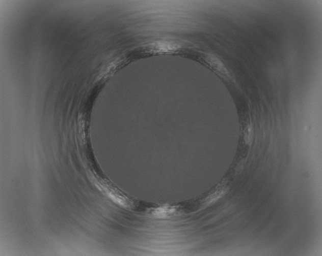 X0000080730366200701021127