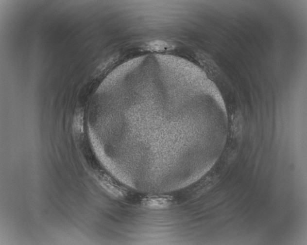 X0000080730368200701021127