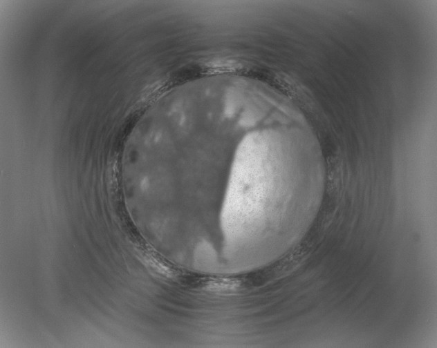 X0000080730369200701021127