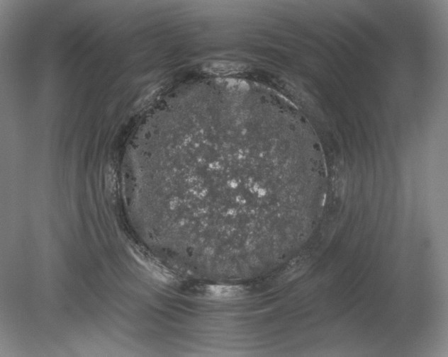 X0000080730371200701021127