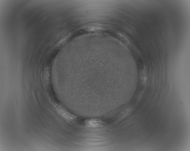 X0000080730372200701021127