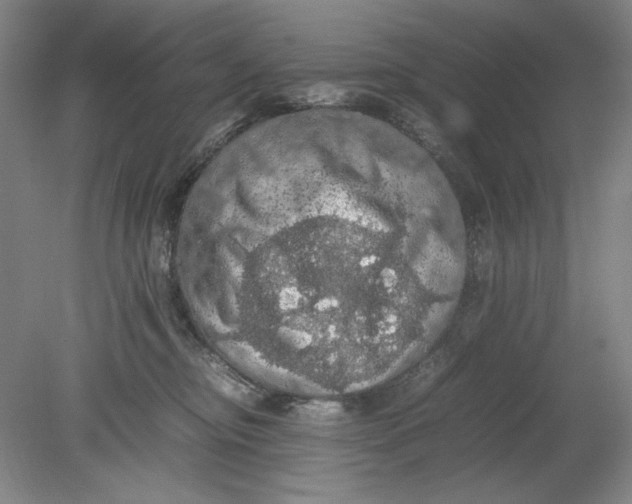 X0000080730374200701021127