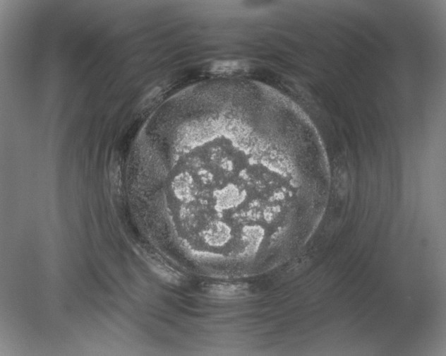 X0000080730375200701021127