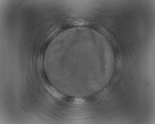 X0000080730376200701021127