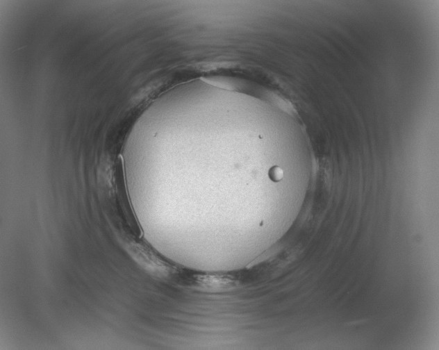 X0000080730380200701021127