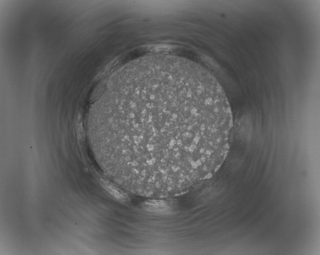 X0000080730381200701021127