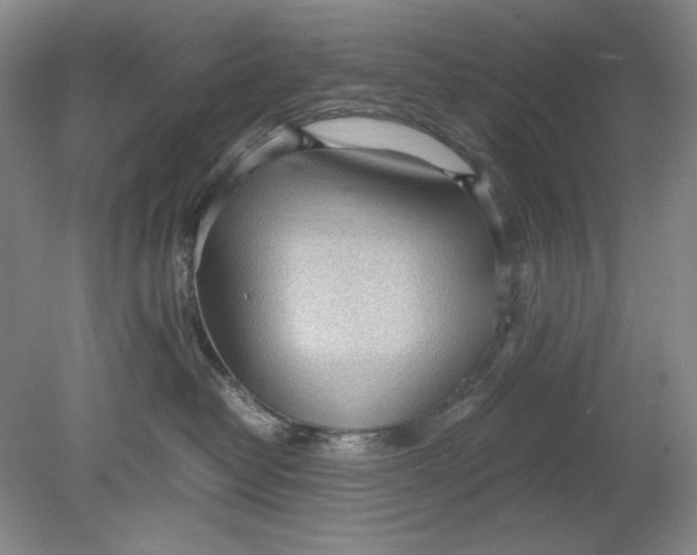 X0000080730382200701021127