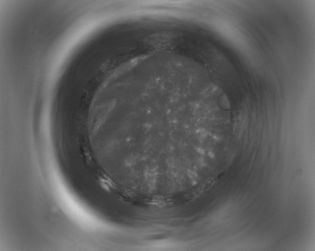 X0000080730383200701021127