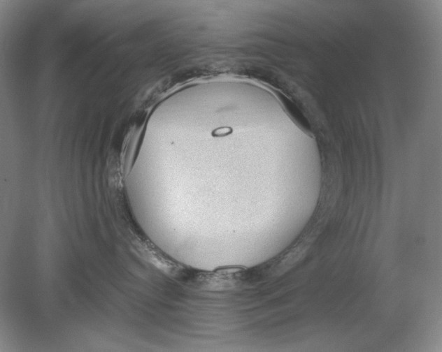 X0000080730384200701021127