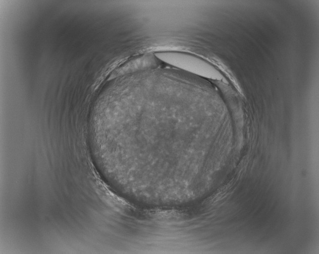 X0000080730385200701021126