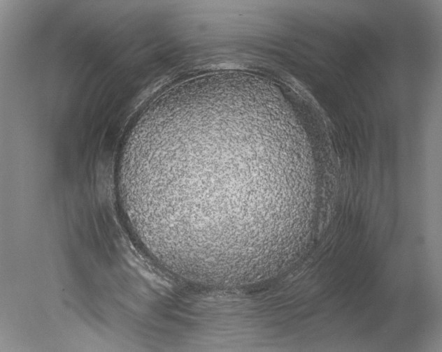 X0000080730386200701021126