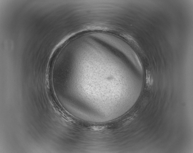 X0000080730388200701021126