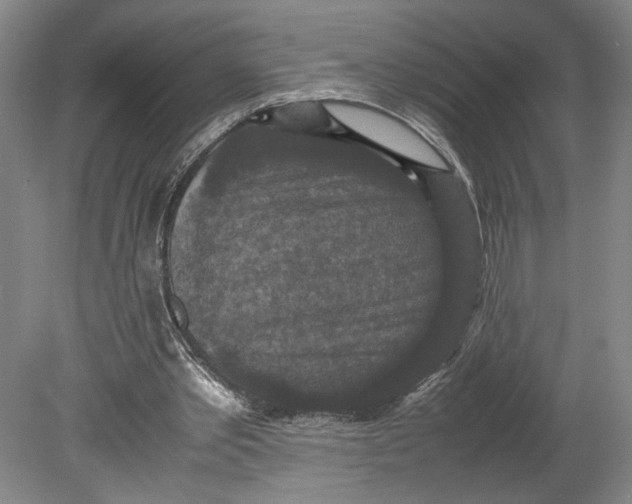 X0000080730389200701021126