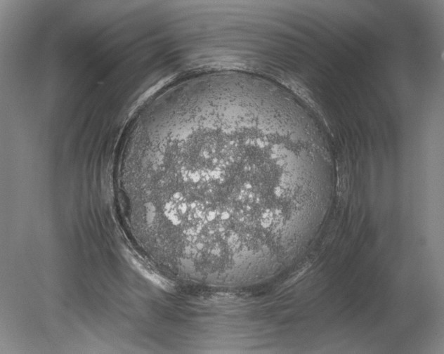 X0000080730390200701021126