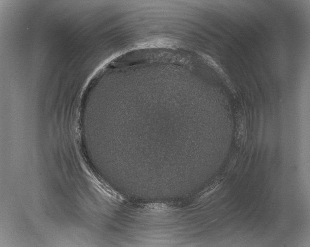 X0000080730392200701021126