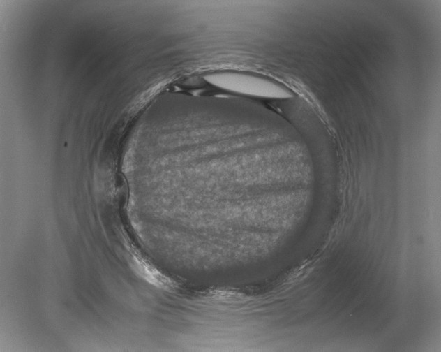 X0000080730393200701021126