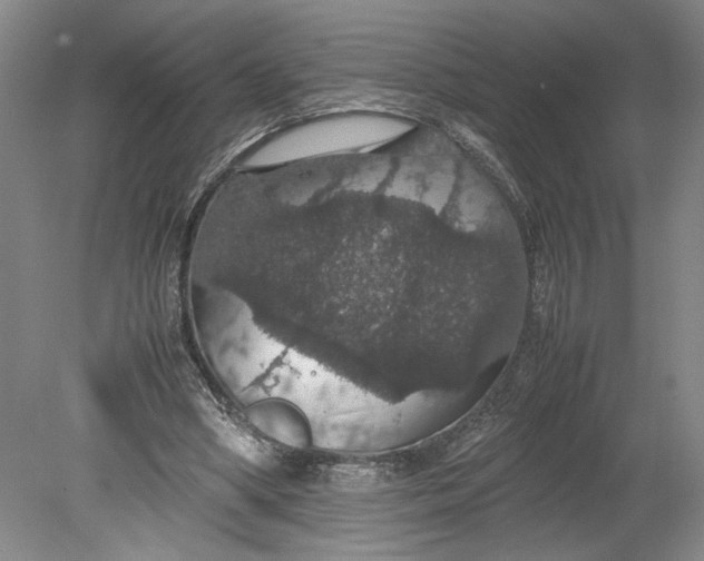 X0000080730394200701021126