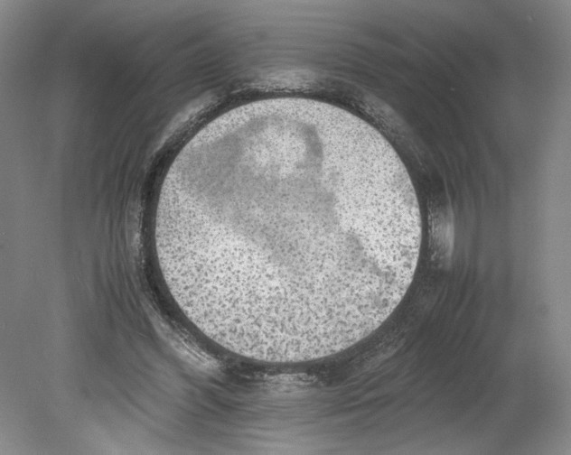 X0000080730396200701021126