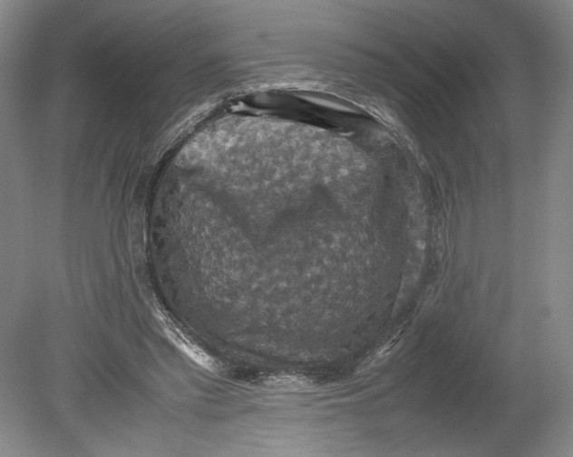 X0000080730397200701021126